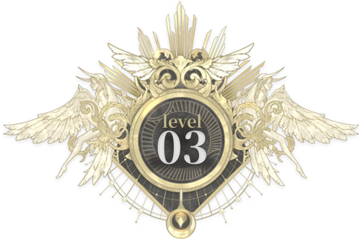 reward level 3
